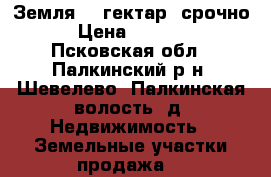 Земля 10 гектар, срочно ! › Цена ­ 100 000 - Псковская обл., Палкинский р-н, Шевелево (Палкинская волость) д. Недвижимость » Земельные участки продажа   